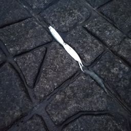 サバ