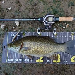 スモールマウスバス