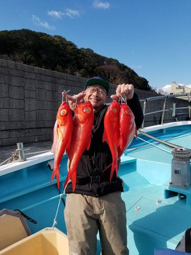 キンメダイの釣果