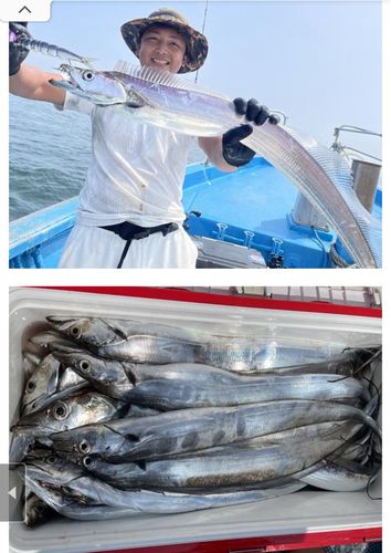 タチウオの釣果