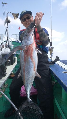 ビンチョウマグロの釣果