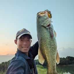 ブラックバス