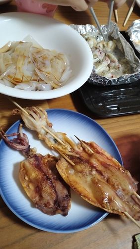 ケンサキイカの釣果