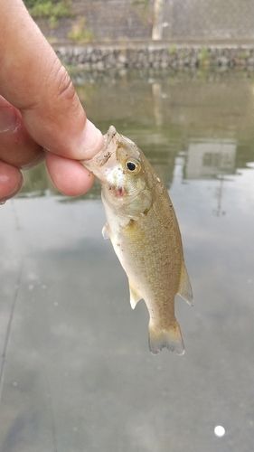 栃本親水公園