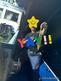 シロイカの釣果
