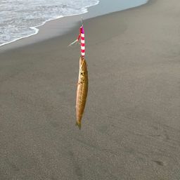 カマス