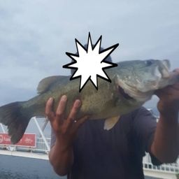 ブラックバス