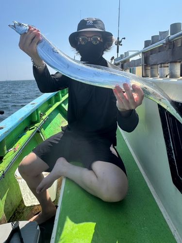 タチウオの釣果