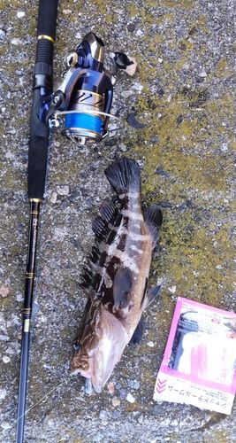 釣果