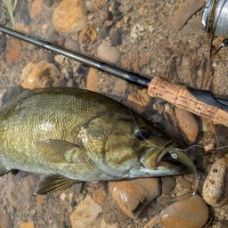 スモールマウスバス