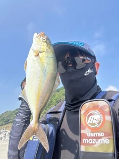 ショゴの釣果