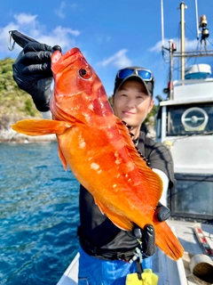 アカハタの釣果