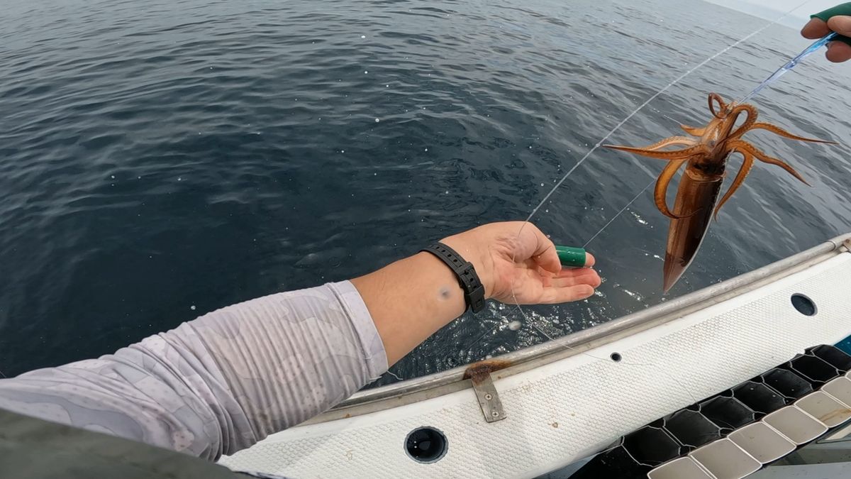 釣りたいおじさんαさんの釣果 2枚目の画像