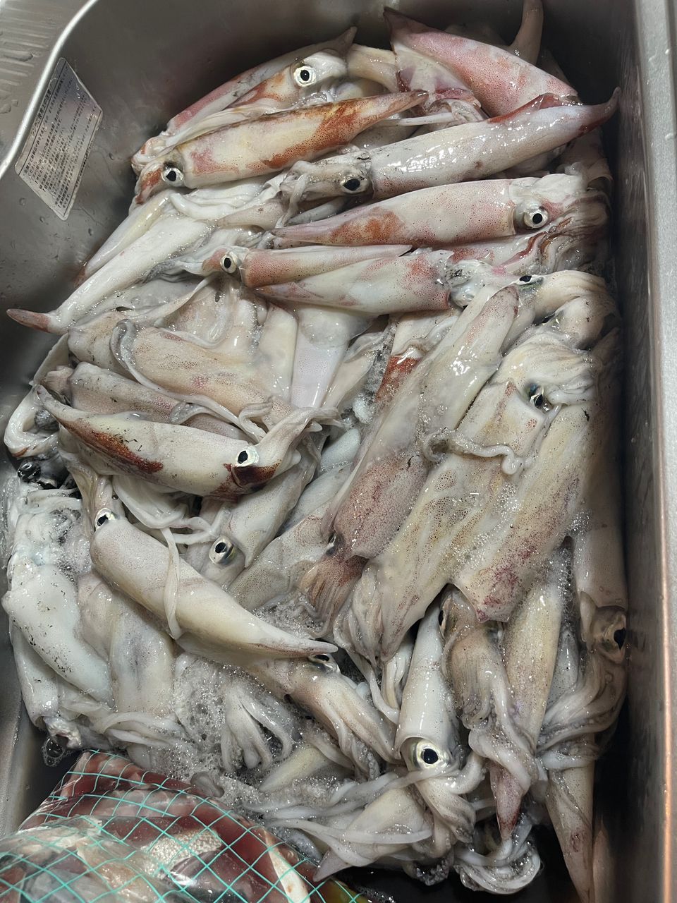 鮎師の純ちゃんさんの釣果 2枚目の画像