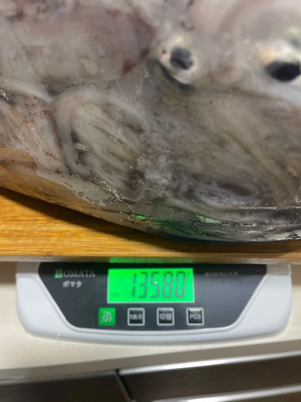 鮎師の純ちゃんさんの釣果 3枚目の画像