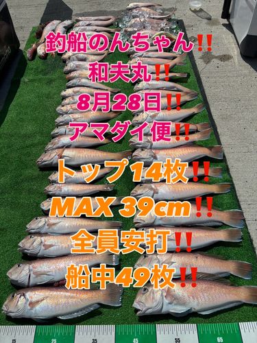 シロアマダイの釣果