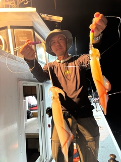 ケンサキイカの釣果