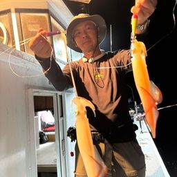 ケンサキイカ