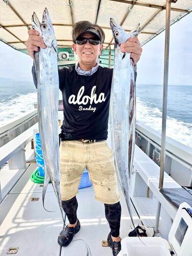 タチウオの釣果