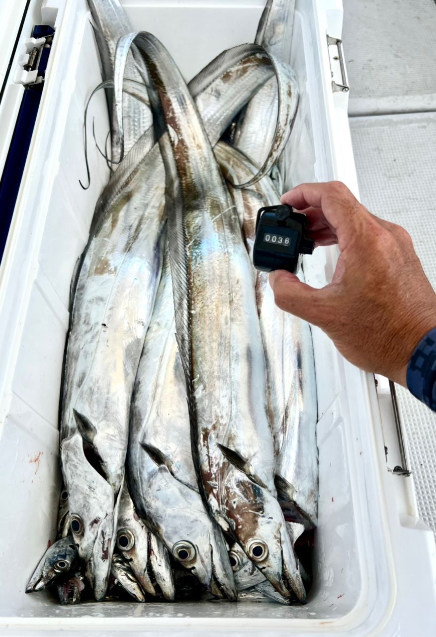 ☆☆TAKAHIRO☆☆さんの釣果 3枚目の画像