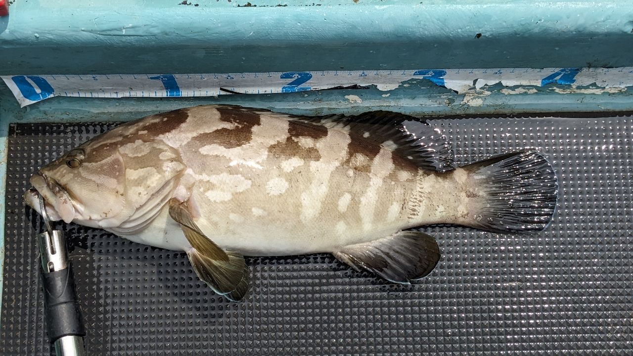 クエ
