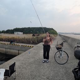 カタクチイワシ