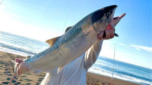 アキアジの釣果