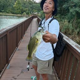 ラージマウスバス