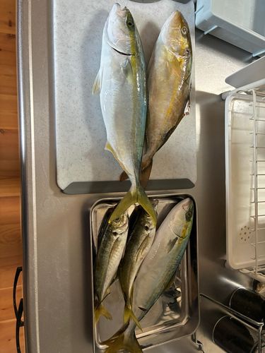 琵琶湖南湖