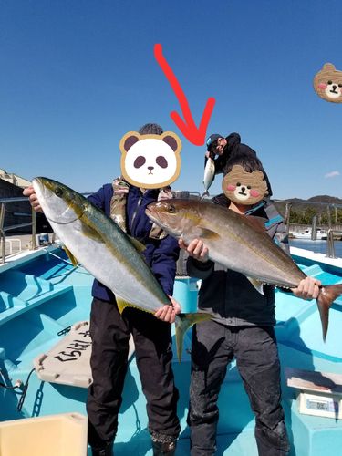 カンパチの釣果