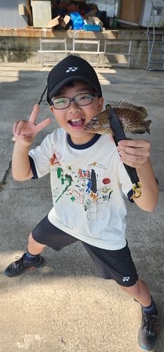 オオモンハタの釣果