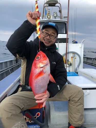 キンメダイの釣果