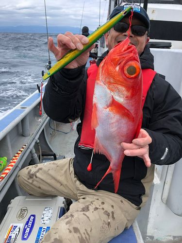 キンメダイの釣果