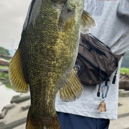 スモールマウスバス