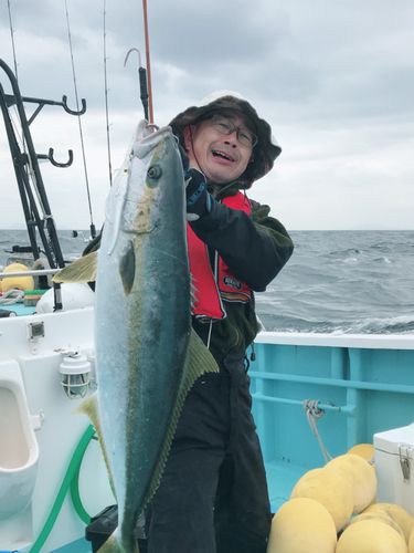 ヒラマサの釣果