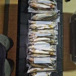 アユ