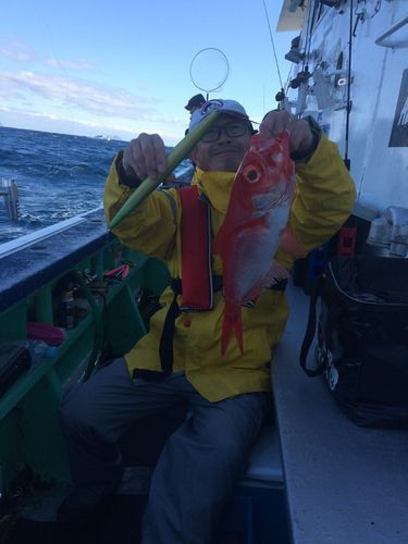 キンメダイの釣果