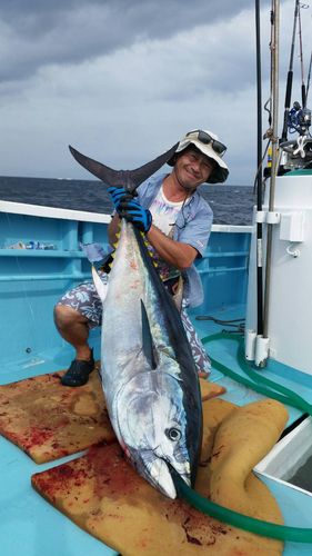 クロマグロの釣果