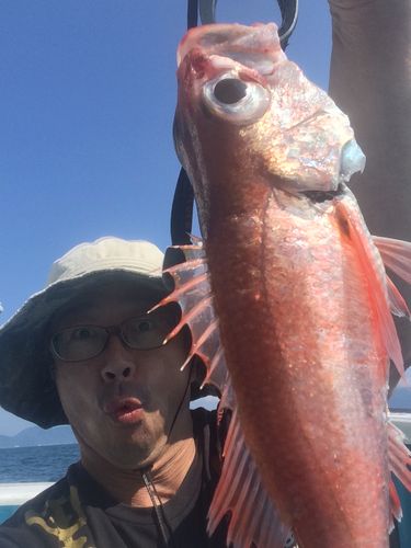 アカムツの釣果