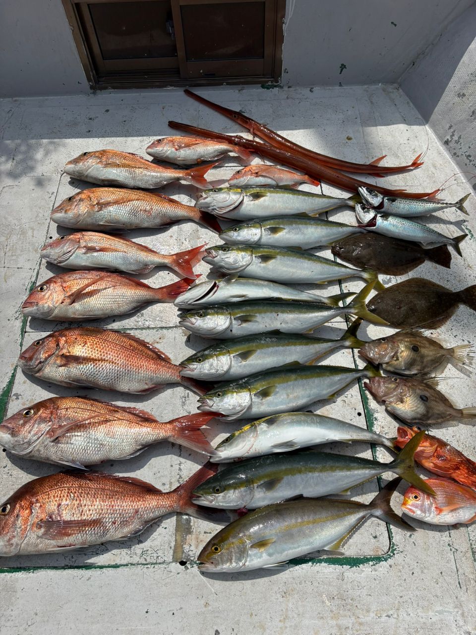 かりん6499814さんの釣果 3枚目の画像