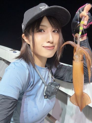 スルメイカ