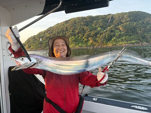 タチウオの釣果