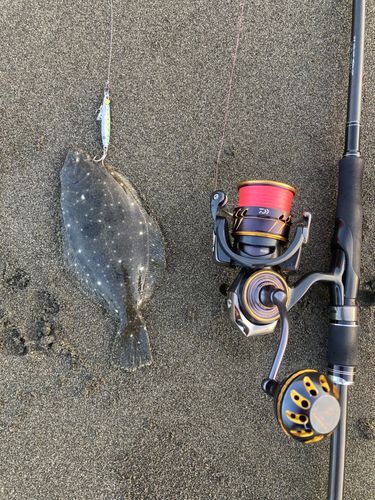 ソゲの釣果