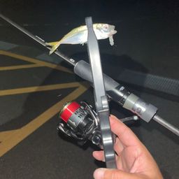アジ