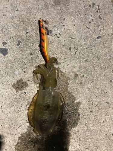 千酌湾