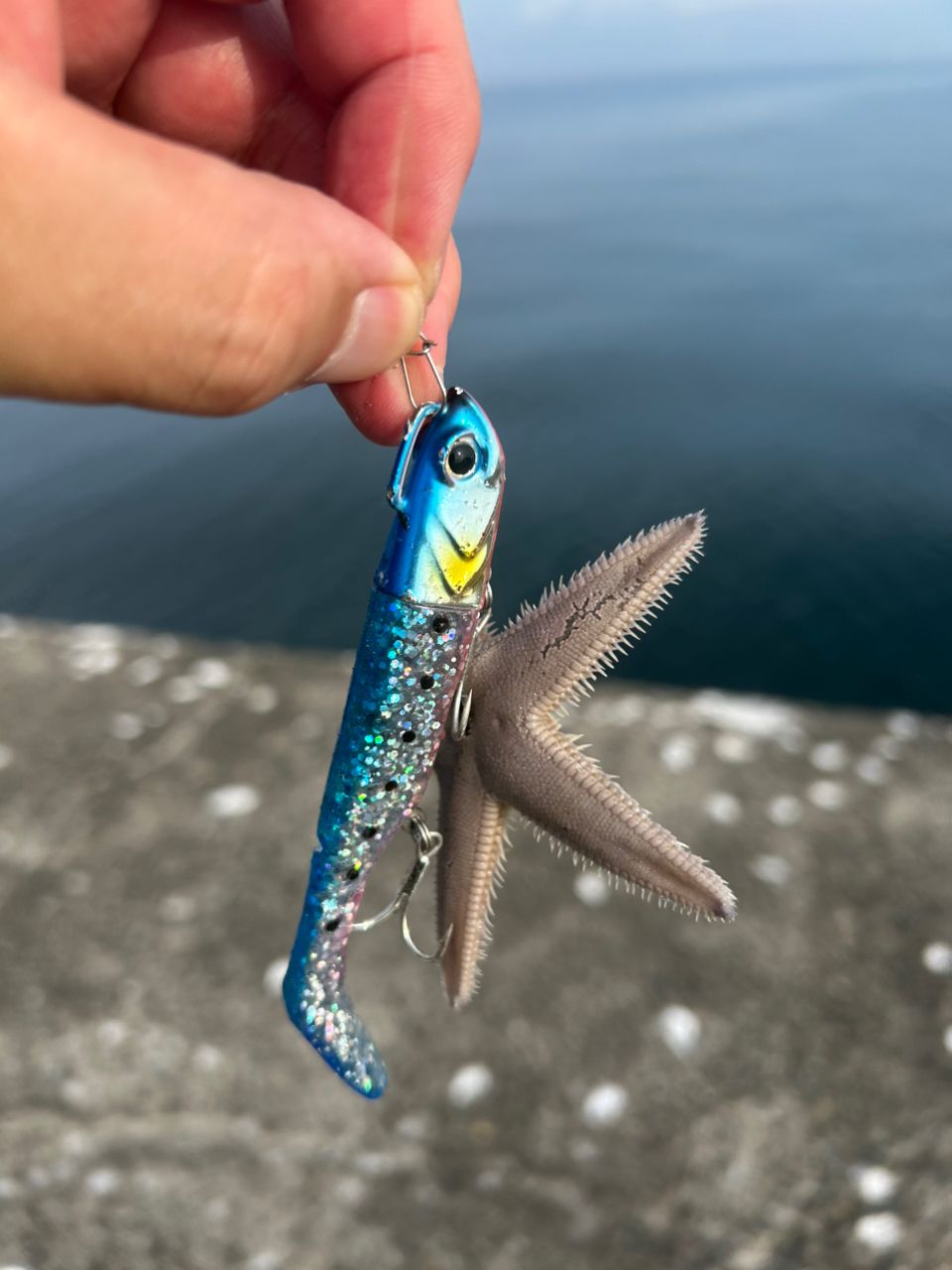 bob9さんの釣果 3枚目の画像