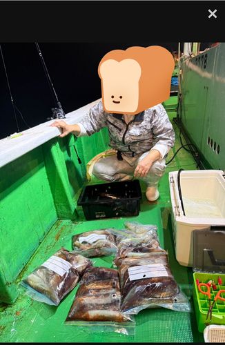 スルメイカの釣果
