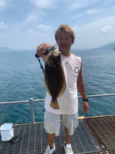 ヒラメの釣果