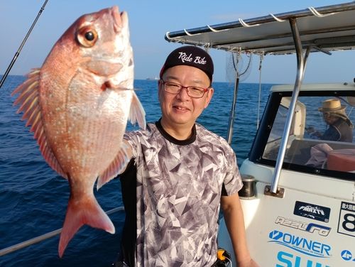 マダイの釣果
