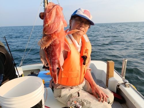 ガシラの釣果